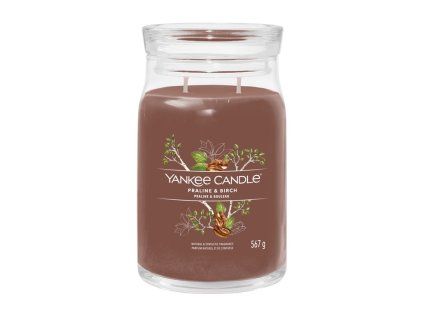 YANKEE CANDLE PRALINE & BIRCH SIGNATURE LARGE