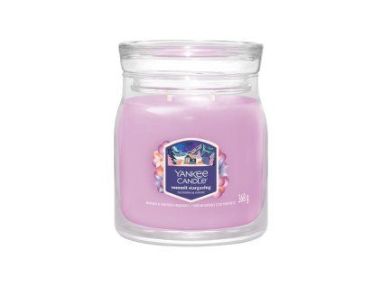YANKEE CANDLE SUMMIT STARGAZING SIGNATURE MEDIUM