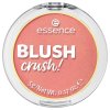 essence blush BLUSH crush! 40