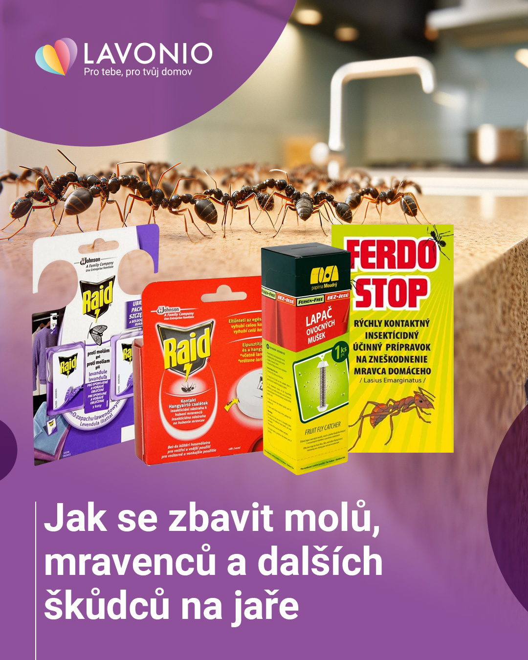 Zjistěte, jak se na jaře zbavit molů, mravenců a dalších škůdců v domácnosti