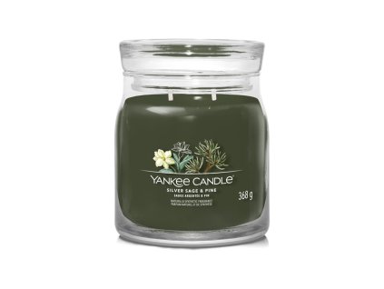 YANKEE CANDLE SILVER SAGE & PINE SIGNATURE STŘEDNÍ