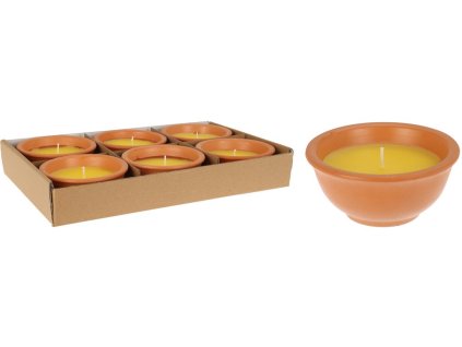 Citronella v terakotě 110x110x50mm