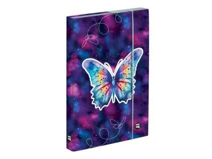KARTON P+P Box na sešity A4 motýl 1 ks