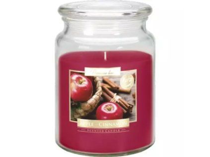 Bispol svíčka apple cinnamon 500g