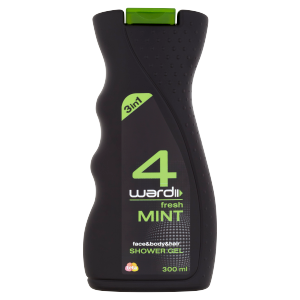 4ward SG 300ml Fresh Mint MEN