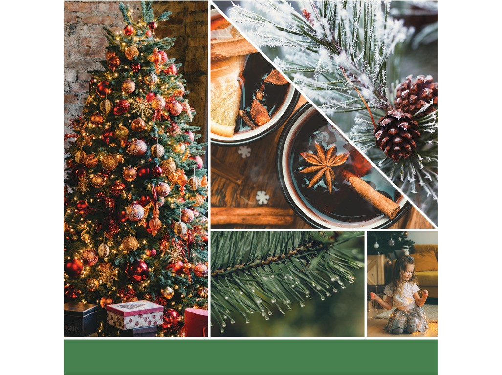 YANKEE CANDLE Vonný vosk Shimmering Christmas Tree 22 g