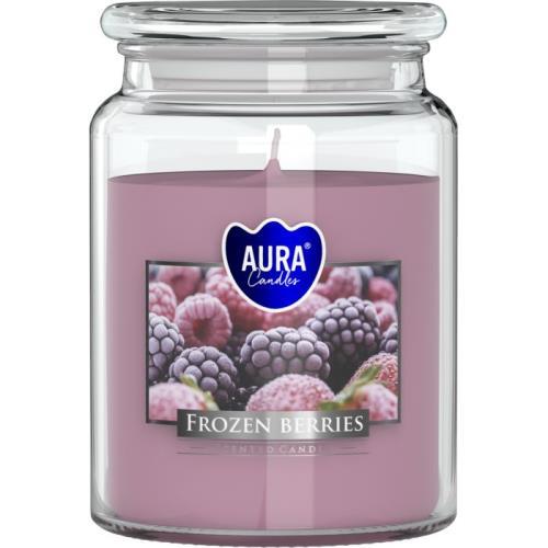Bispol svíčka frozen berries 500g