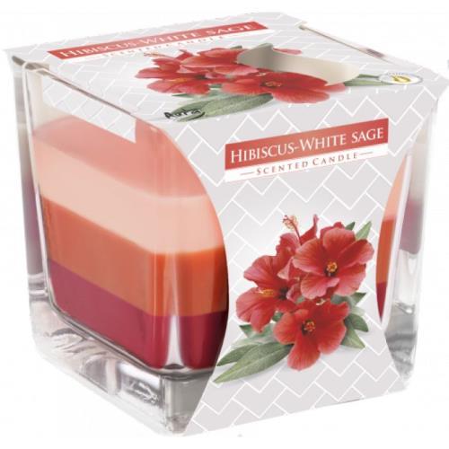 Bispol svíčka hibiscus white sage snk80-356 170g