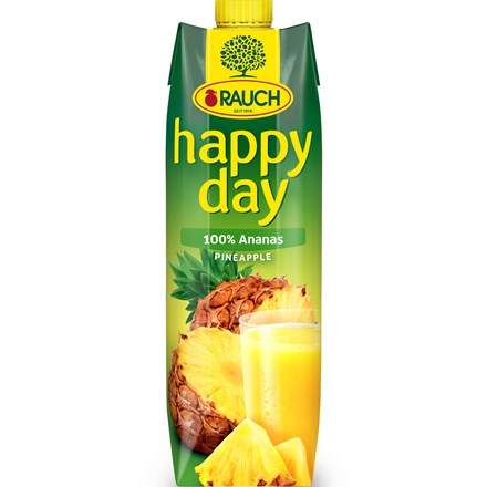 RAUCH happy day Ananas 100 % 1 l
