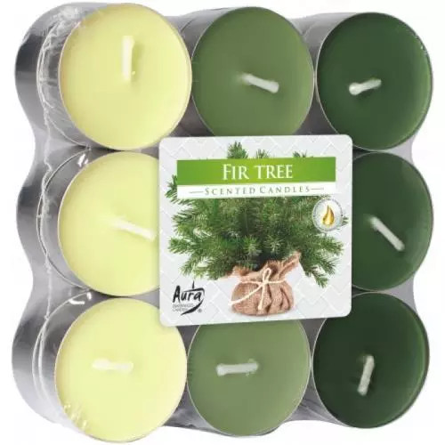 AURA Candles Vonná čajová svíčka Fir Tree pr. 3,9 cm, 18 ks