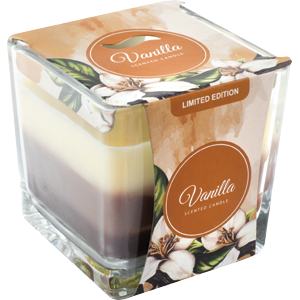 Q Home svíčka 198g Vanilla hran