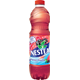 NESTEA Forest Fruit 6 x 1,5 l