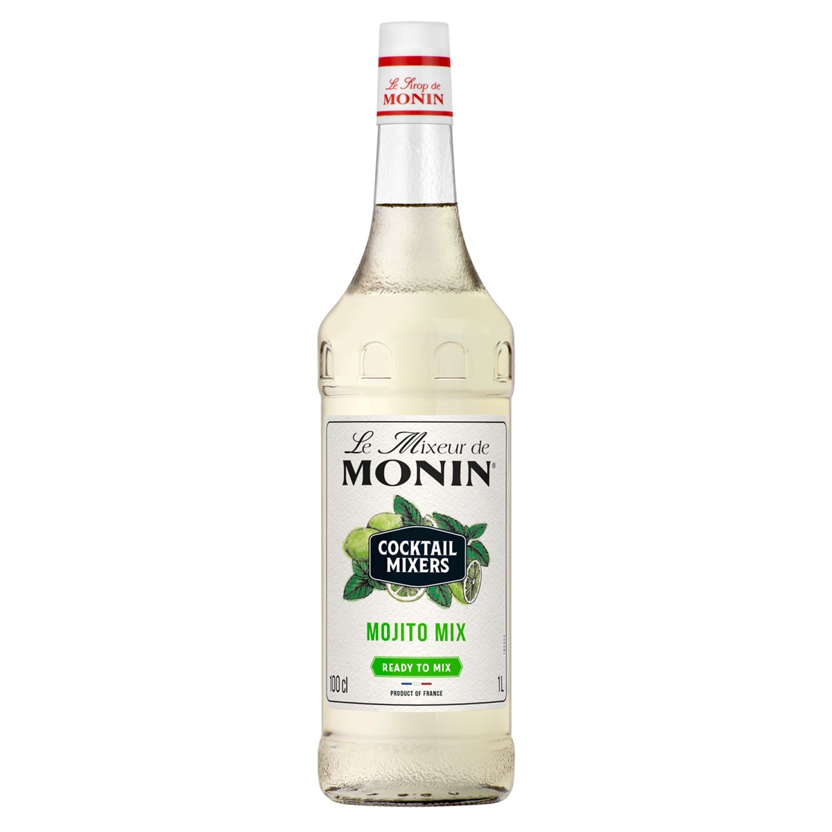 MONIN Le Mixeur Mojito 1 l