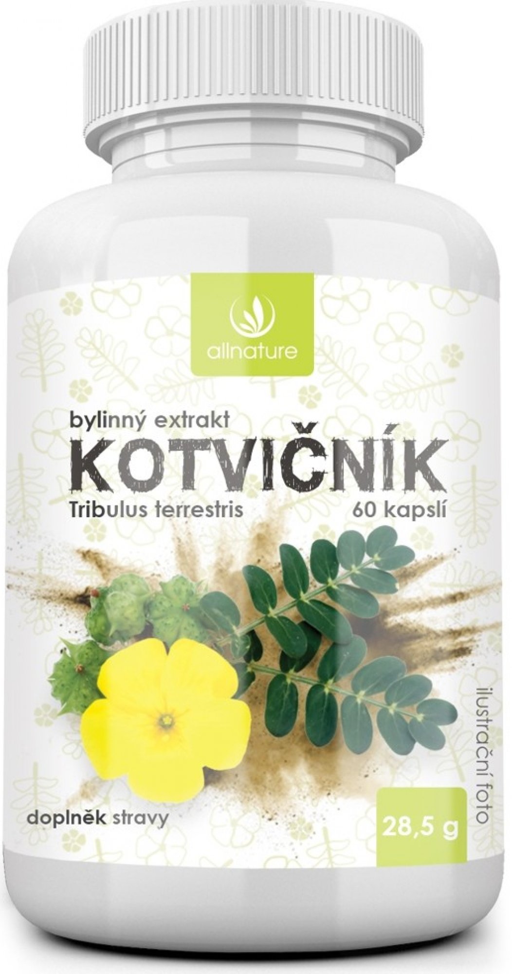 Allnature Kotvičník bylinný extrakt 60 kapslí