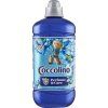 777217-Coccolino-avivaz-Passion-flower