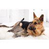 PET SHOP | XL miska pro psy & kočky | 800 ml | zelená
