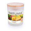 MANGO | sójová vonná svíčka | PARFUMIA® | 250 ml