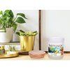 ZANZIBAR | sójová vonná svíčka | PARFUMIA® | 250 ml