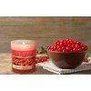 WILD CRANBERRY | sójová vonná svíčka | PARFUMIA® | 250 ml
