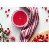 WILD CRANBERRY | sójová vonná svíčka | PARFUMIA® | 250 ml
