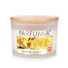 FLEUR DE VANILLE | sójová svíčka | 2 knoty | PARFUMIA® | 400 ml