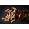 REISHI extrakt 10:1 500 mg
