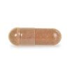 REISHI extrakt 10:1 500 mg