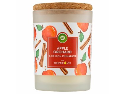 95713 air wick svicka 185g live scents jablecny sad