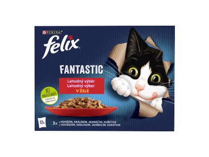 120969 felix kapsa 12x85g kra masovy mix