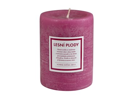 123585 q home svicka 340g lesni plody