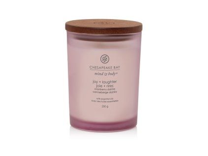 Duftkerze Chesapeake Bay Kerze Freude & Lachen Mittel