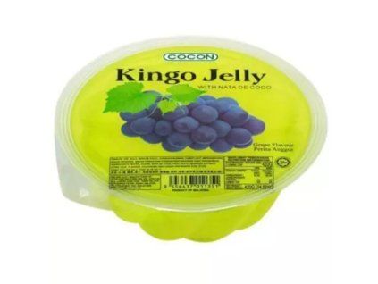 Kokos-Traubenpudding mit Nata de Coco 420g (THACH NHO)
