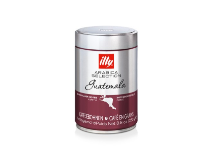 illy Guatemala Kaffeebohnen 250 g