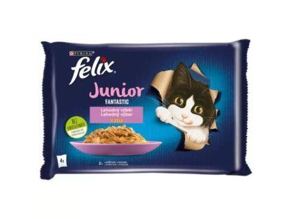 Felix Fantastic Pouch MP Junior Huhn + Lachs @4x85g