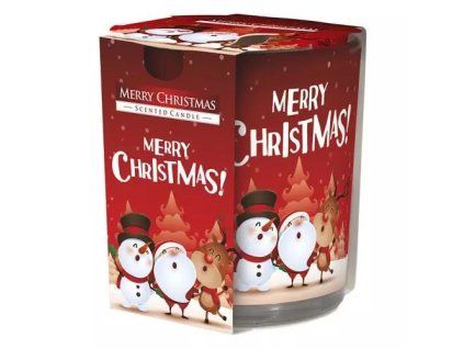 Bispol Kerze „Frohe Weihnachten“ SN72S-09 100 g