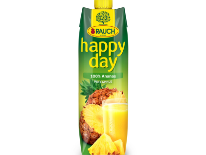 RAUCH Happy Day Ananas 100% 1 l