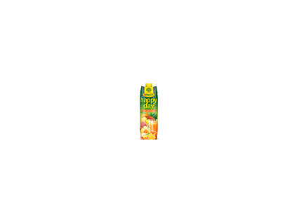 RAUCH Happy Day Multivitamin 100% 1 l