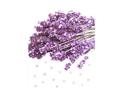 cz pim 377011001001 00