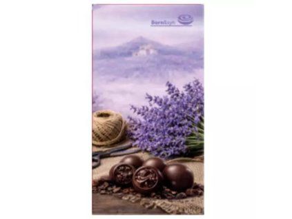 BornSyn Pralinen Provence Dach 94,5 g