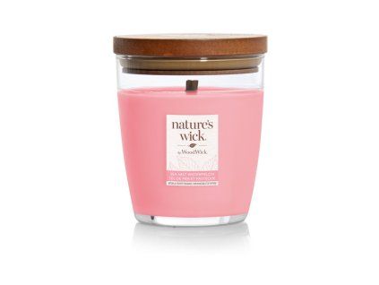 Nature's Wick Tumbler Medium Salt Watermelon