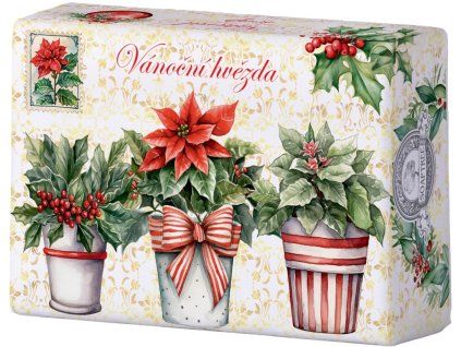 Seife 200 g – Weihnachtsstern