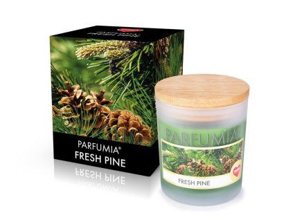 FRESH PINE | sójová vonná svíčka | PARFUMIA® | 250 ml