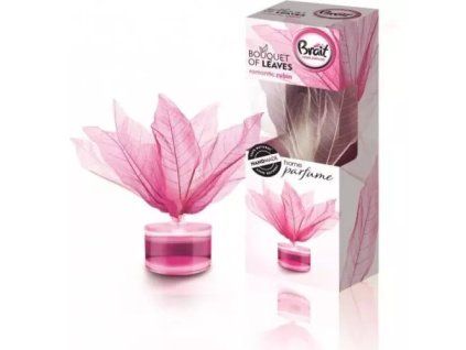 Brait dekorativer Diffusor 50ml Blätter Romantisches Rubin