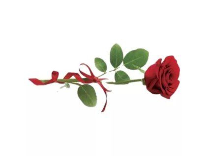 Delicadore Pralinenschachtel Rose 195g