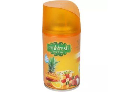 Embfresh Nachfüllpackung 250 ml Winterfruchtmischung