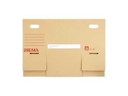 SIGMA Box mit Klappdeckel, Größe M, 30 x 21 x 31 cm, 2 Stück