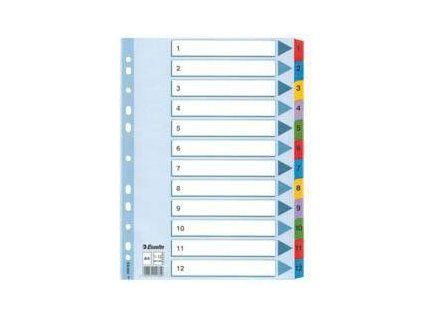 Esselte Mylar Indexes A4 1-12 1 Stück.