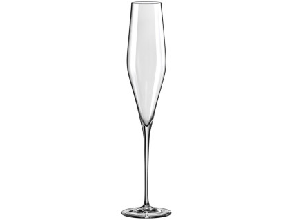RONA Champagnergläser SWAN 190 ml 6 Stück