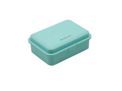 PAPP-Snackbox P+P PASTELINI grün 1 Stück.