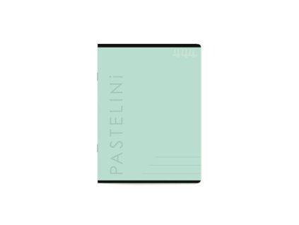 Karton P+P Notizbuch A4 444 Pastelini grün 1 Stück